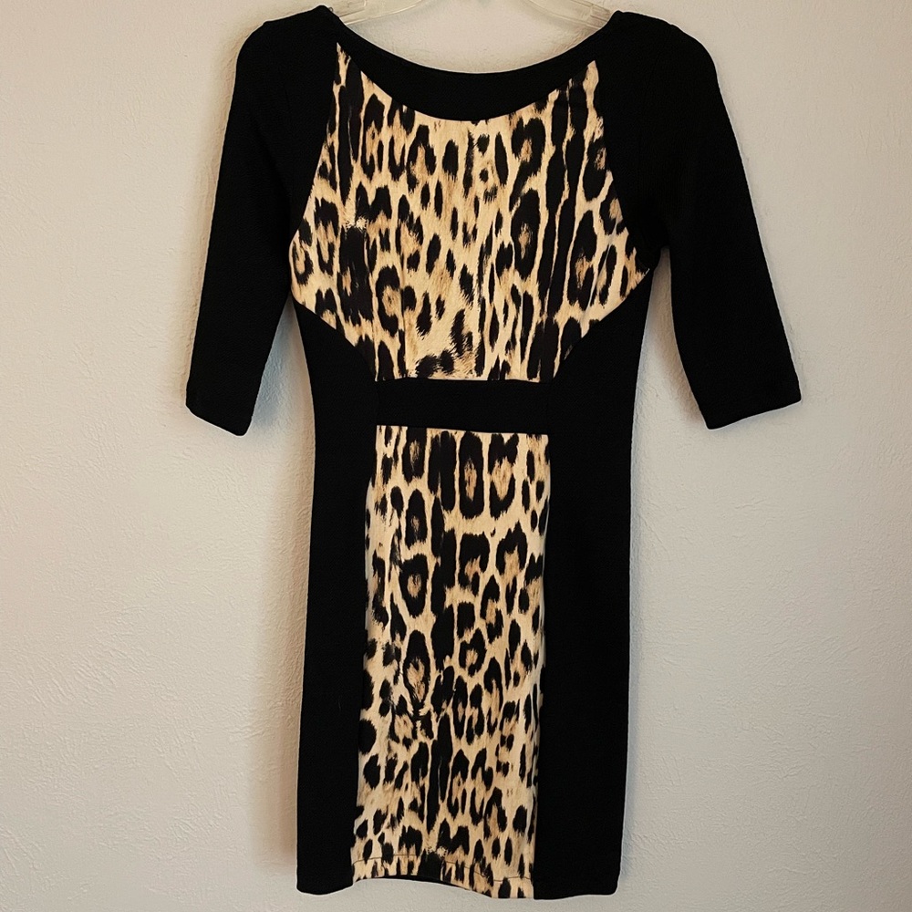 Zara Dress